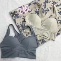 ☆新品AGARISM×GYDA アップミースタイリングブラ Lサイズ 2枚のサムネイル