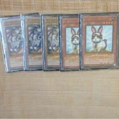 レスキューラビットセットのサムネイル