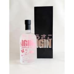 IGIN APPLE GIN PINK Edition 2026 JIN BTS - メルカリ