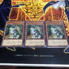 遊戯王 孤高除獣のサムネイル