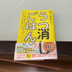 うつ消しごはんのサムネイル