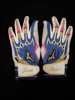 ミズノプロ バッティンググローブ パワーアーク 【24 ㎝】