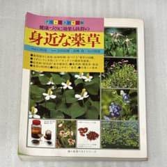 健康づくりに効果も抜群の身近な薬草のサムネイル