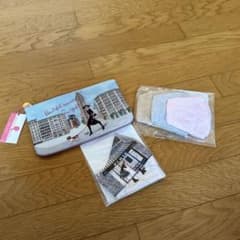 Reiko Aoki ニューヨーク　マスクポーチ&マスクのサムネイル