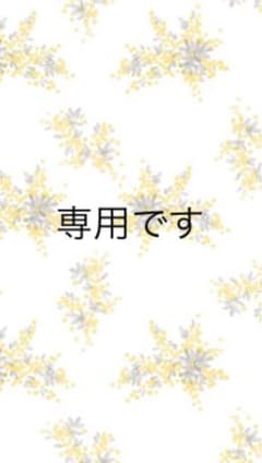 専用ですのサムネイル