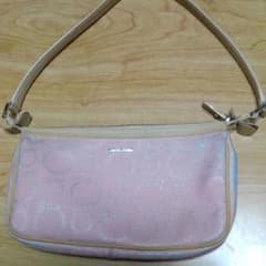 Santana様専用サルヴァトーレフェラガモ　ポーチ　美品です。のサムネイル