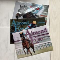 非売品】jra アーモンドアイ クリアファイル 3枚セット - メルカリ