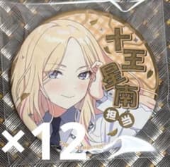 学園アイドルマスター 学マス 十王星南 ジュエリー缶バッジ 12個 学園アイドルマスター 学マス 十王星南 ジュエリー缶バッジ 12個