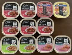 シーザー、紗のサムネイル