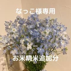 【なっこ様専用】お米精米料金追加分のサムネイル