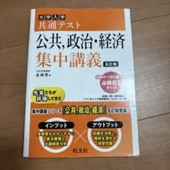 大学入学共通テスト 公共・政治・経済 集中講義 改訂版のサムネイル
