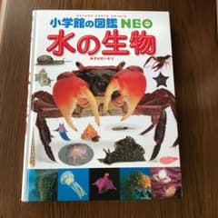 水の生物のサムネイル