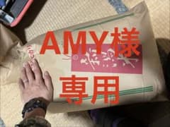 中米　AMY様専用のサムネイル