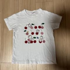 4枚セット　familiar Tシャツ　半袖　おはなしTシャツ 夏の定番 おはなしTシャツ｜ファミリア代官山店の公式ブログ