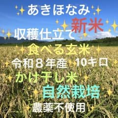 あきほなみ 新米『食べる玄米』10㎏かけ干し米 自然栽培 農薬不使用