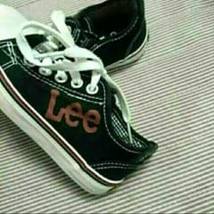 Lee 17センチのサムネイル
