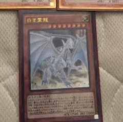白き霊龍のサムネイル