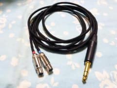 AUDEZE LCD Empyrean カナレ L-4E6S 200cm 6.3 AUDEZE LCD Empyrean カナレ L-4E6S 200cm 6.3 - メルカリ