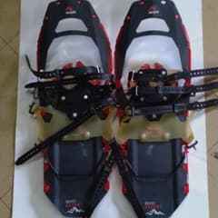ＭＳＲ      ＲＥＶＯ    ＡＳＣＥＮＴのサムネイル