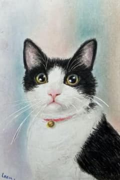 猫 絵画 子猫 イラスト 水彩色鉛筆 油彩色鉛筆 原画 ハチワレ猫ちゃん