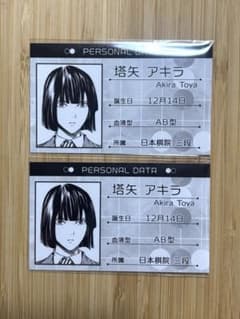 ヒカルの碁 原画展 京都限定プロフィールカード塔矢アキラ - メルカリ