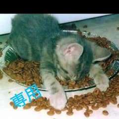 タコライスさん専用のサムネイル