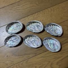 アワビの貝殻 6個セット ハンドメイド素材　大体5〜6cmのサムネイル