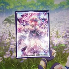 スリーブセットのサムネイル
