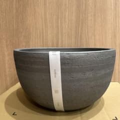 三州みやび鉢 オニバス C - メルカリ