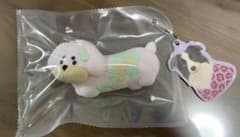 スクイーズ　ドンドン　どんどん　犬　ダックス