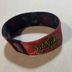 WANIMA ラバーバンドのサムネイル