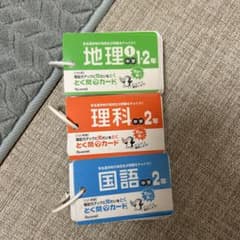 シ*ン様 中学単語カードセット 地理 理科 国語のサムネイル
