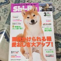 kapp様専用ページのサムネイル