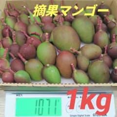 摘果マンゴー 【 現品 】1kg 5月14日収穫 - メルカリ