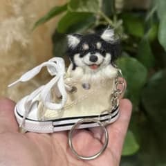 スニーカーペット チワワ ブラックタン 羊毛フェルト チワワ うちの子