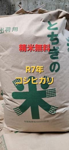 令和7年 栃木県産 コシヒカリ 10kg 10キロ 玄米 - メルカリ