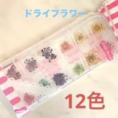 ドライフラワー 12色 レジン ネイル素材のサムネイル