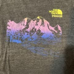 THE NORTH FACE Hawaii Tシャツのサムネイル