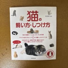 猫の飼い方・しつけ方のサムネイル