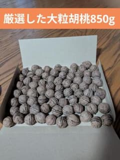 厳選した大粒胡桃　850gのサムネイル