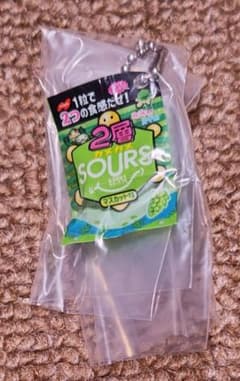 【新品】ガチャ バンダイ ノーベル製菓 ミニチュアチャーム カメカメSOURSのサムネイル