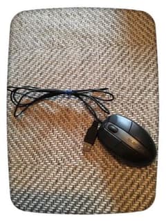 マウスのサムネイル