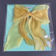 PPULBATU ヘアタイTXT ヨンジュン ファンチュンのサムネイル