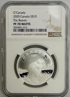 2020年 カナダビーバーコインNGC PF70 5954091-013 - メルカリ
