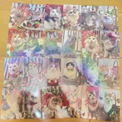 猫カフェmocha 越谷レイクタウン 2026春トレカ いちご 大収穫祭 - メルカリ