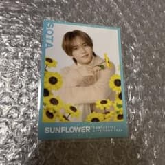 中島颯太 シクレ フォトカード SUNFLOWER FANTASTICS - メルカリ