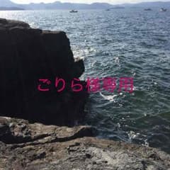 ごりら様専用のサムネイル