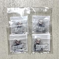 メルト・ダ・テンシくんThanks Partyアクリルステッカーのサムネイル