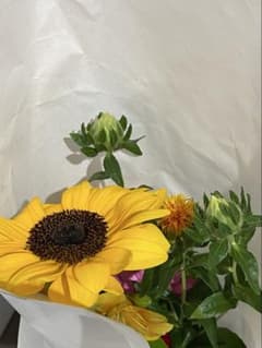 N様専用のサムネイル