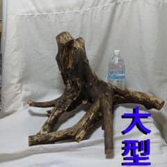 大型流木のサムネイル